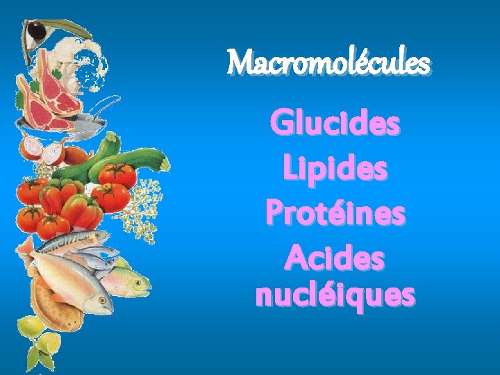 Macromolécules Glucides Lipides Protéines Acides nucléiques 