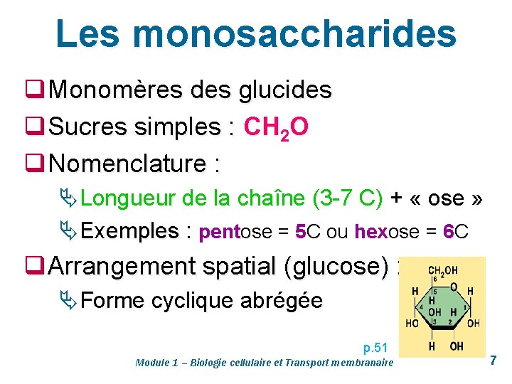 Les monosaccharides q Monomères des glucides q Sucres simples : CH 2 O q