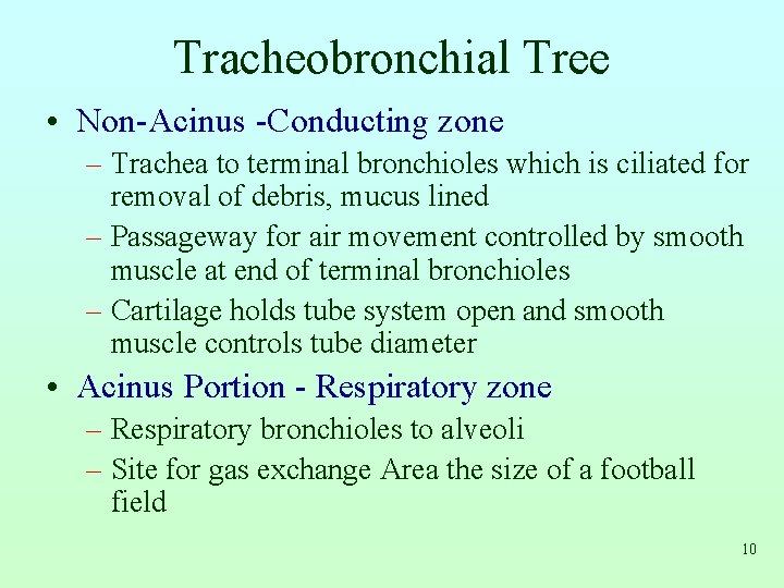 Tracheobronchial Tree • Non-Acinus -Conducting zone – Trachea to terminal bronchioles which is ciliated