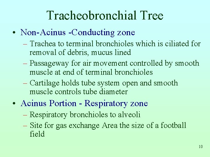 Tracheobronchial Tree • Non-Acinus -Conducting zone – Trachea to terminal bronchioles which is ciliated