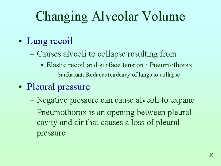 Changing Alveolar Volume • Lung recoil – Causes alveoli to collapse resulting from •