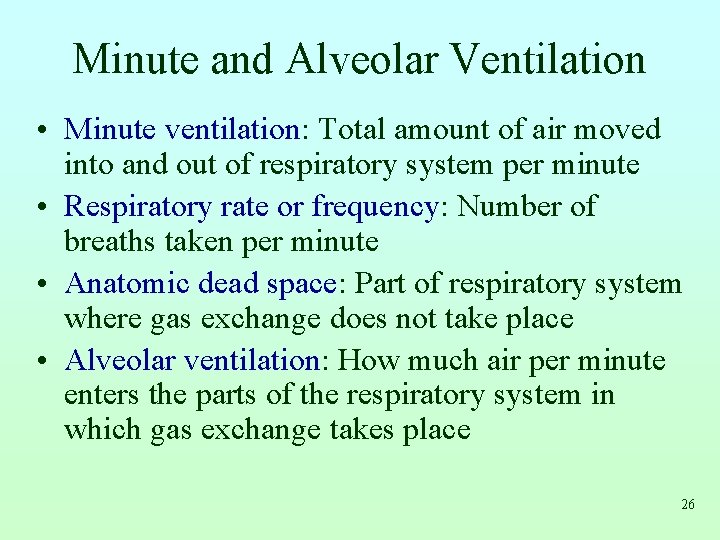 Minute and Alveolar Ventilation • Minute ventilation: Total amount of air moved into and