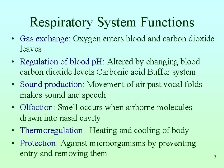 Respiratory System Functions • Gas exchange: Oxygen enters blood and carbon dioxide leaves •