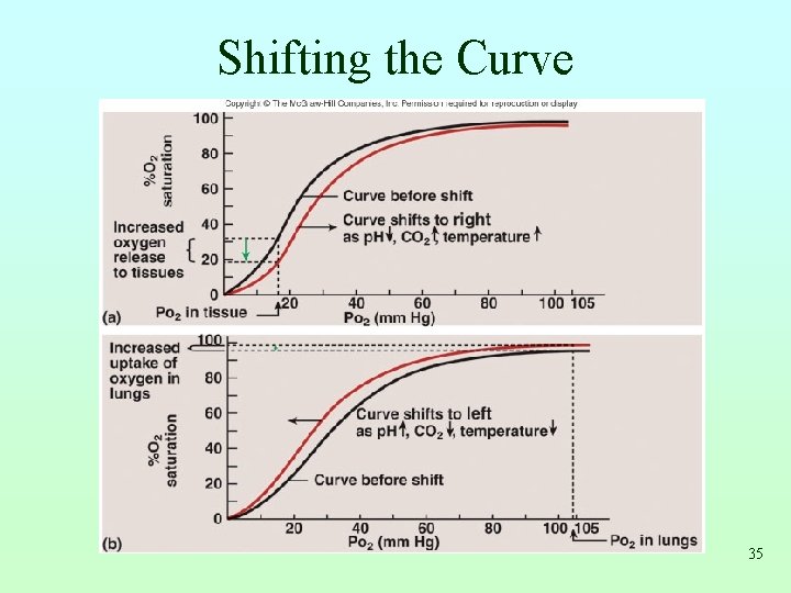 Shifting the Curve 35 