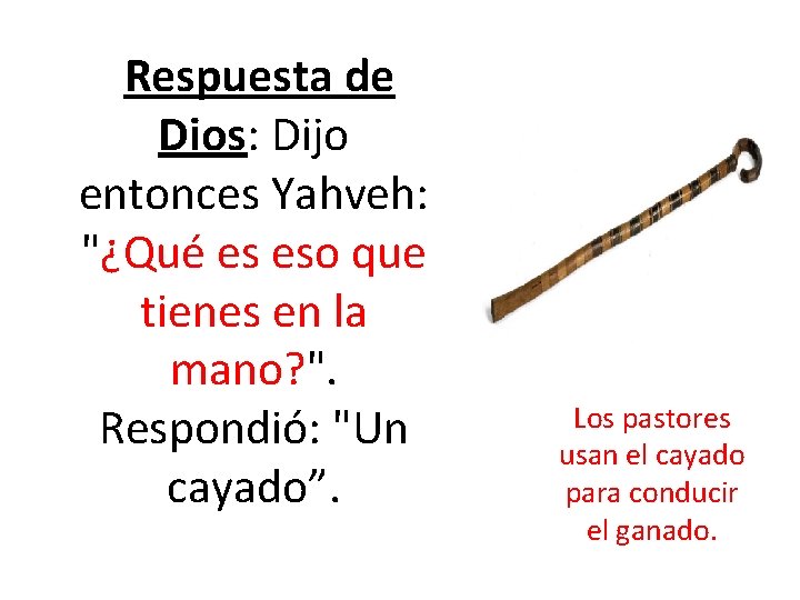  Respuesta de Dios: Dijo entonces Yahveh: "¿Qué es eso que tienes en la