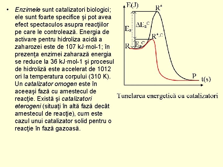  • Enzimele sunt catalizatori biologici; ele sunt foarte specifice şi pot avea efect