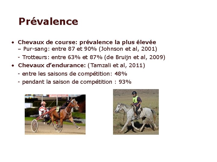 Prévalence • Chevaux de course: prévalence la plus élevée – Pur-sang: entre 87 et