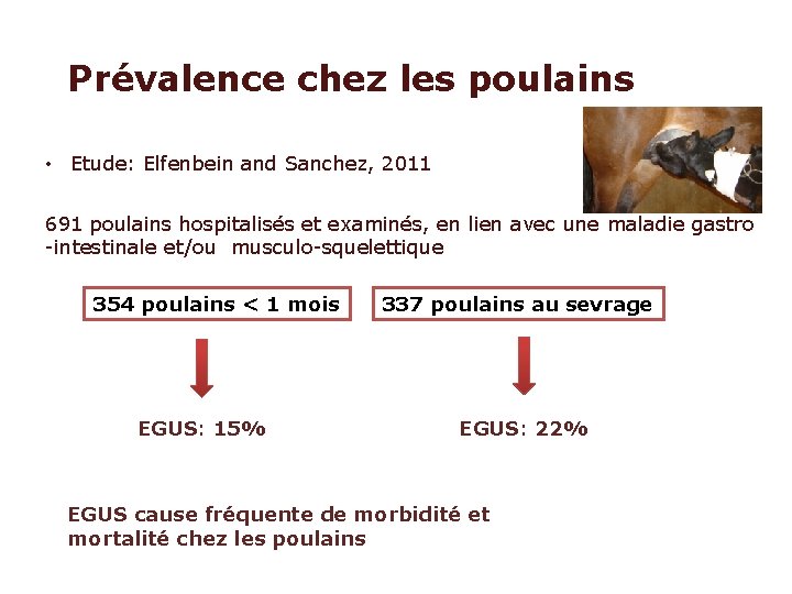 Prévalence chez les poulains • Etude: Elfenbein and Sanchez, 2011 691 poulains hospitalisés et