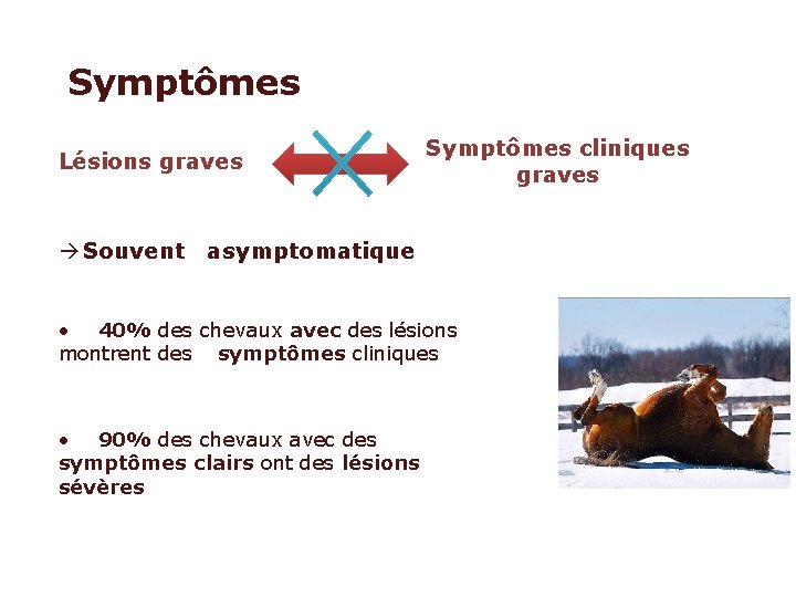 Symptômes Lésions graves Symptômes cliniques graves Souvent asymptomatique • 40% des chevaux avec des