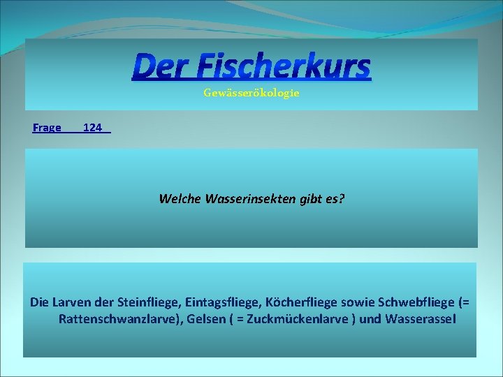 Der Fischerkurs Gewässerökologie Frage 124 Welche Wasserinsekten gibt es? Die Larven der Steinfliege, Eintagsfliege,