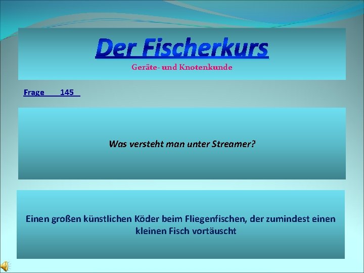 Der Fischerkurs Geräte- und Knotenkunde Frage 145 Was versteht man unter Streamer? Einen großen