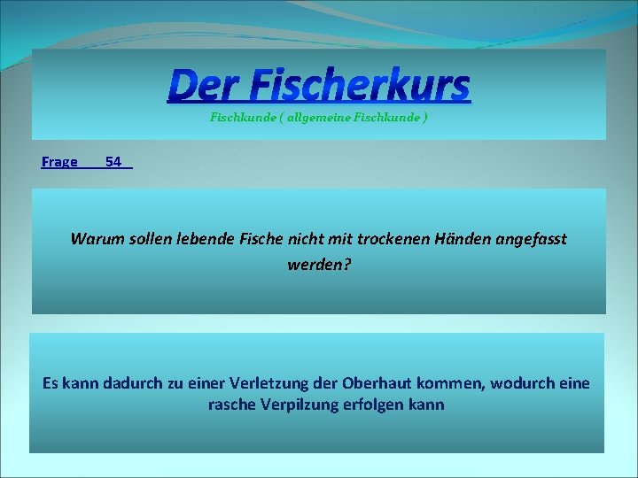 Der Fischerkurs Fischkunde ( allgemeine Fischkunde ) Frage 54 Warum sollen lebende Fische nicht