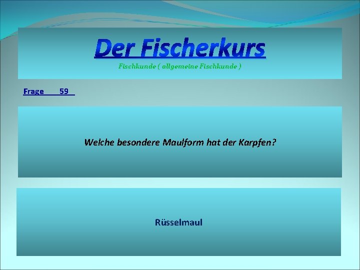 Der Fischerkurs Fischkunde ( allgemeine Fischkunde ) Frage 59 Welche besondere Maulform hat der