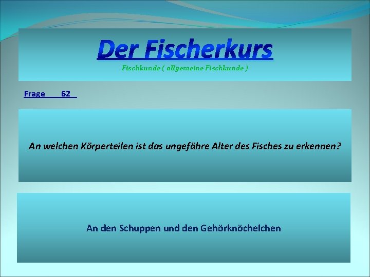 Der Fischerkurs Fischkunde ( allgemeine Fischkunde ) Frage 62 An welchen Körperteilen ist das