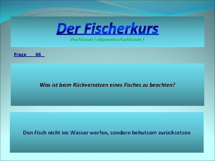 Der Fischerkurs Fischkunde ( allgemeine Fischkunde ) Frage 66 Was ist beim Rückversetzen eines