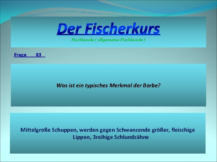 Der Fischerkurs Fischkunde ( allgemeine Fischkunde ) Frage 83 Was ist ein typisches Merkmal