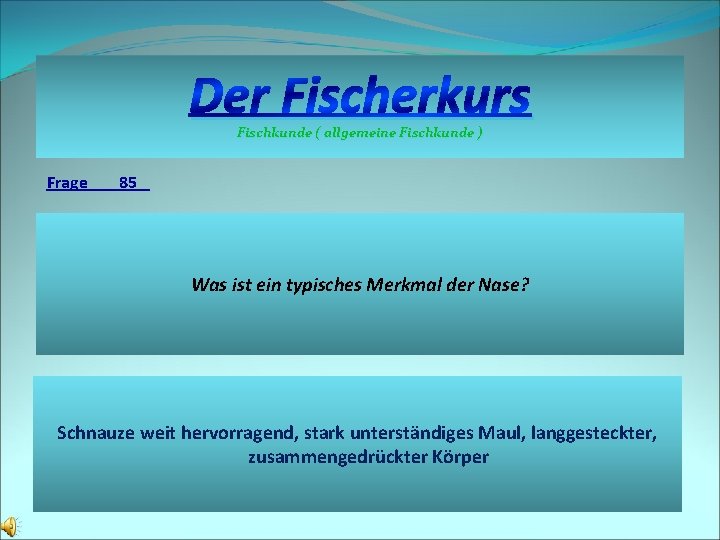 Der Fischerkurs Fischkunde ( allgemeine Fischkunde ) Frage 85 Was ist ein typisches Merkmal