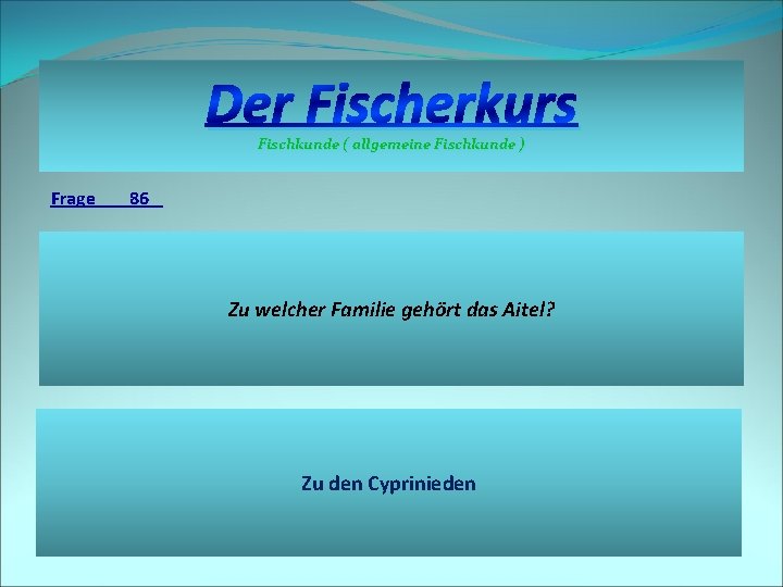 Der Fischerkurs Fischkunde ( allgemeine Fischkunde ) Frage 86 Zu welcher Familie gehört das