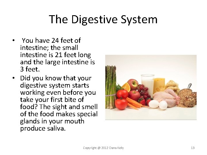 The Digestive System • You have 24 feet of intestine; the small intestine is The Digestive System • You have 24 feet of intestine; the small intestine is
