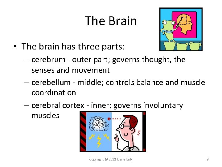 The Brain • The brain has three parts: – cerebrum - outer part; governs The Brain • The brain has three parts: – cerebrum - outer part; governs
