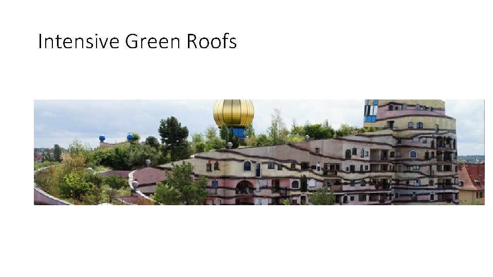 Intensive Green Roofs 