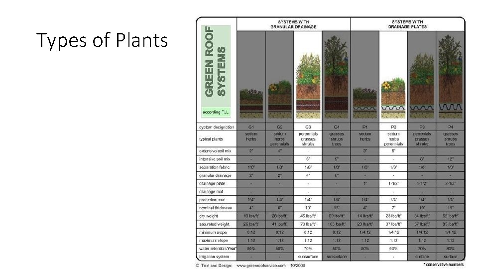 Types of Plants 