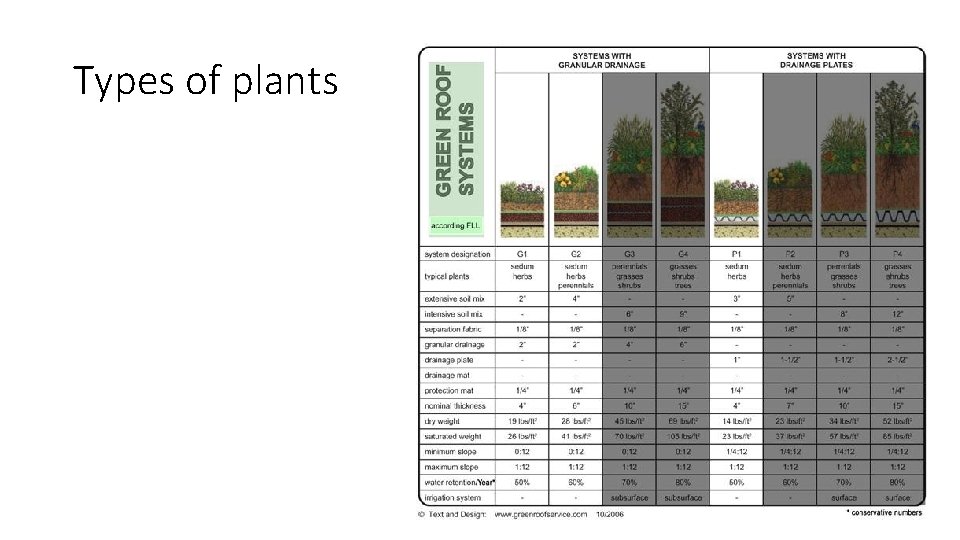 Types of plants 