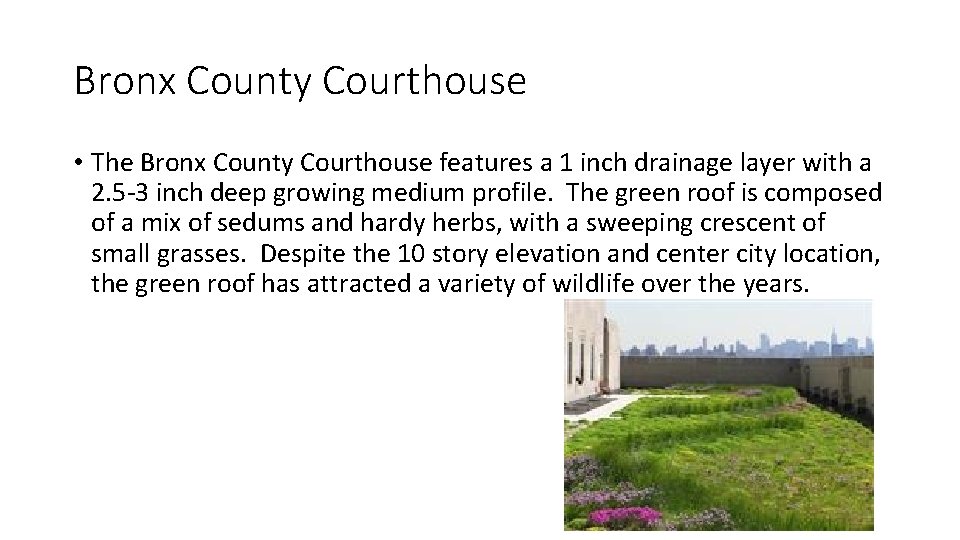 Bronx County Courthouse • The Bronx County Courthouse features a 1 inch drainage layer