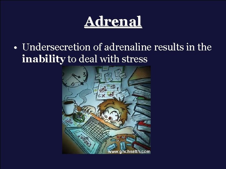 Adrenal • Undersecretion of adrenaline results in the inability to deal with stress 