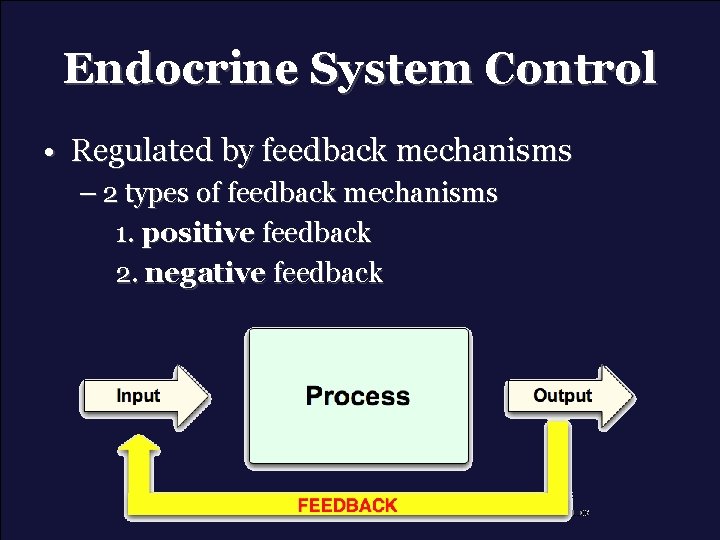 Endocrine System Control • Regulated by feedback mechanisms – 2 types of feedback mechanisms