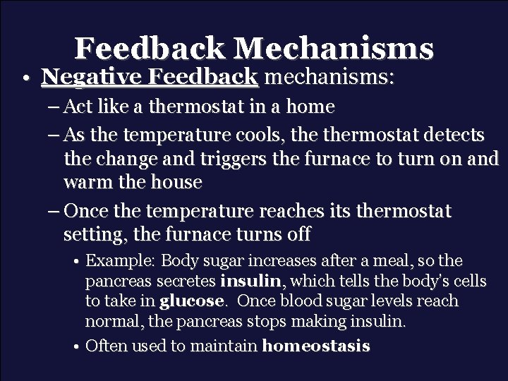 Feedback Mechanisms • Negative Feedback mechanisms: – Act like a thermostat in a home