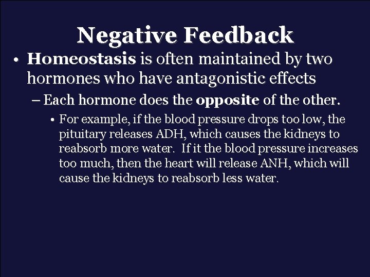 Negative Feedback • Homeostasis is often maintained by two hormones who have antagonistic effects