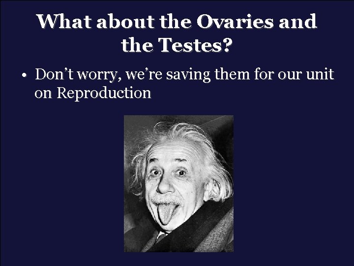 What about the Ovaries and the Testes? • Don’t worry, we’re saving them for