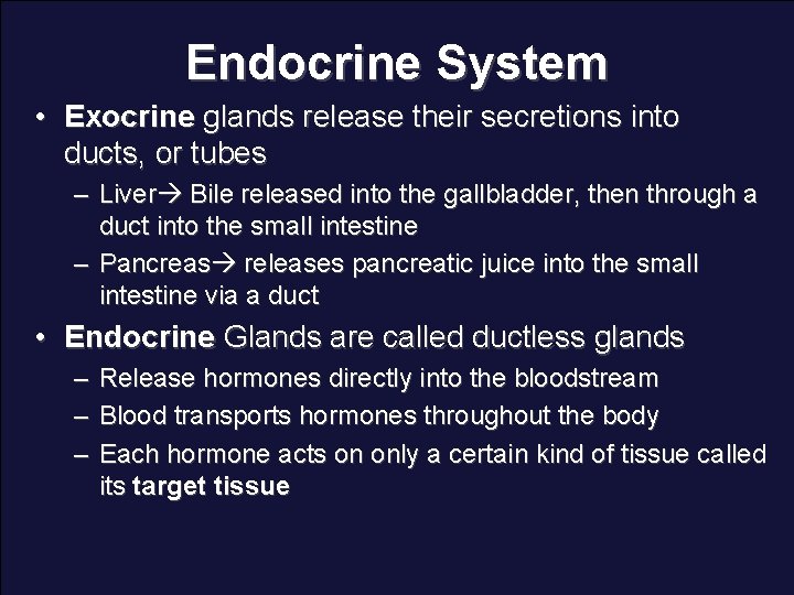 Endocrine System • Exocrine glands release their secretions into ducts, or tubes – Liver