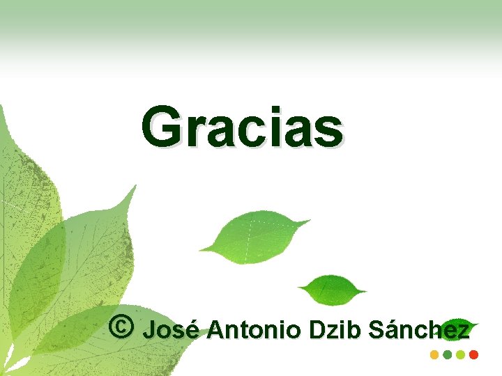 Gracias © José Antonio Dzib Sánchez 