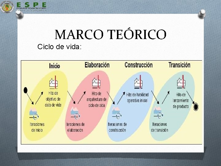 MARCO TEÓRICO Ciclo de vida: 