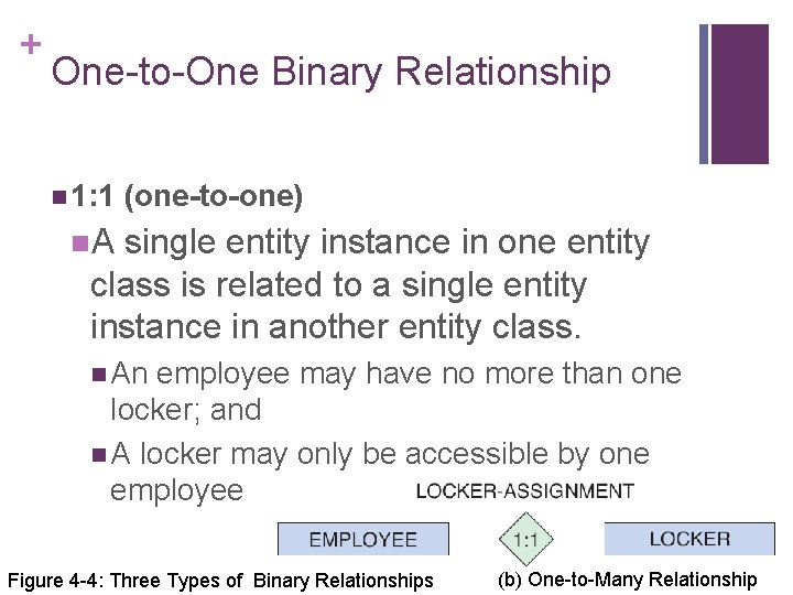 + One-to-One Binary Relationship n 1: 1 (one-to-one) n. A single entity instance in