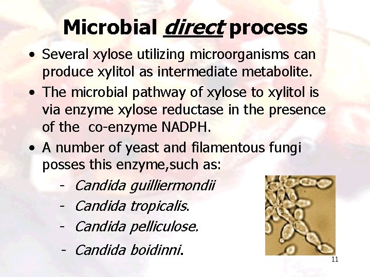 Microbial direct process • Several xylose utilizing microorganisms can produce xylitol as intermediate metabolite. Microbial direct process • Several xylose utilizing microorganisms can produce xylitol as intermediate metabolite.