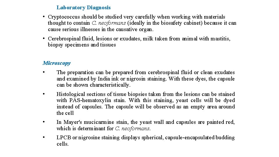 Laboratory Diagnosis • Cryptococcus should be studied very carefully when working with materials thought