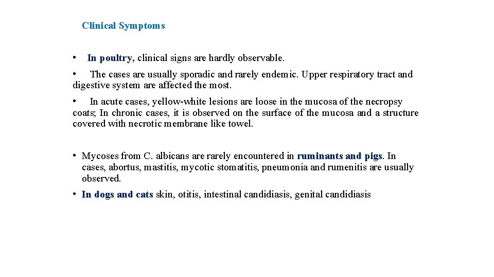 Clinical Symptoms • In poultry, clinical signs are hardly observable. • The cases are