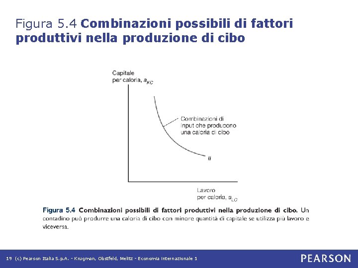 Figura 5. 4 Combinazioni possibili di fattori produttivi nella produzione di cibo 19 (c) Figura 5. 4 Combinazioni possibili di fattori produttivi nella produzione di cibo 19 (c)