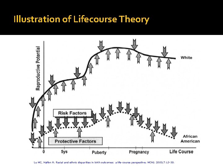 Illustration of Lifecourse Theory Lu MC, Halfon N. Racial and ethnic disparities in birth