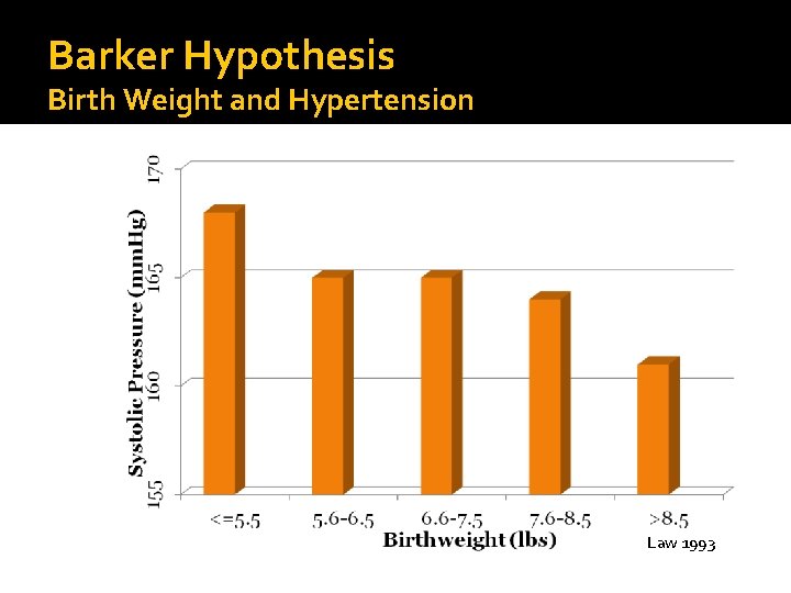 Barker Hypothesis Birth Weight and Hypertension Law 1993 