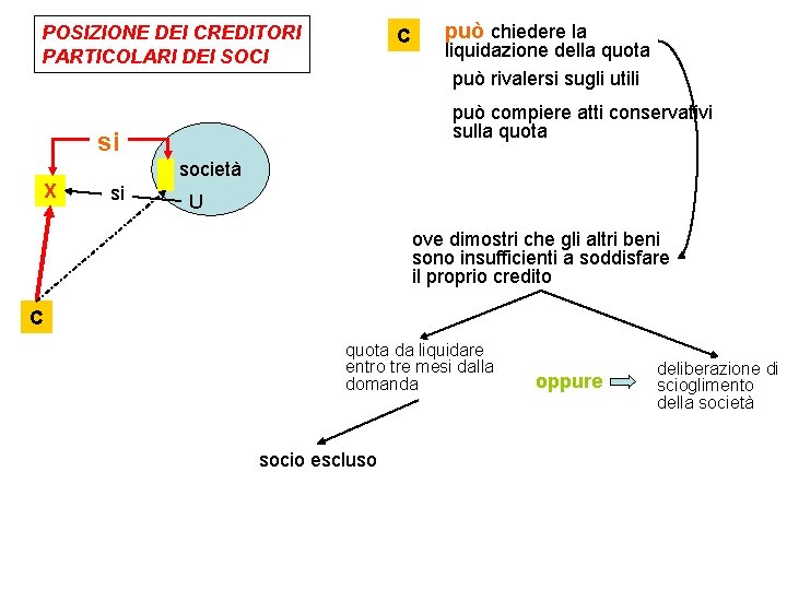 POSIZIONE DEI CREDITORI PARTICOLARI DEI SOCI C liquidazione della quota può rivalersi sugli utili