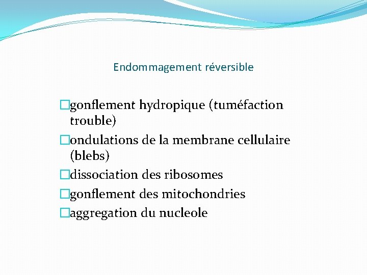 Endommagement réversible �gonflement hydropique (tuméfaction trouble) �ondulations de la membrane cellulaire (blebs) �dissociation des