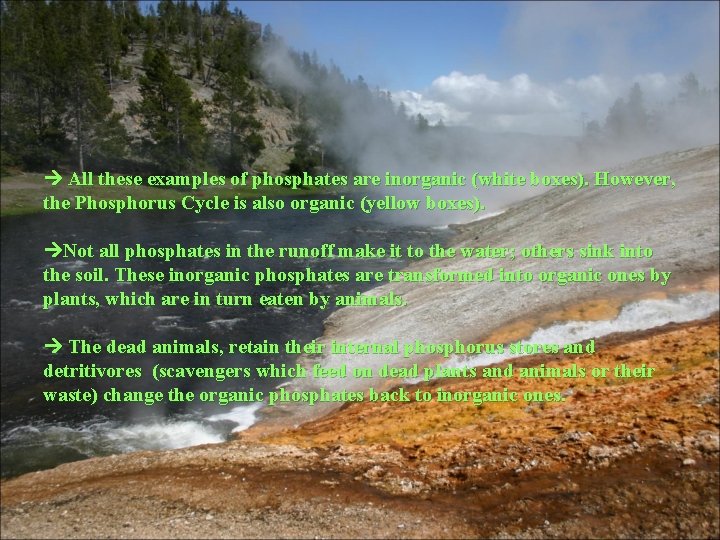  All these examples of phosphates are inorganic (white boxes). However, the Phosphorus Cycle