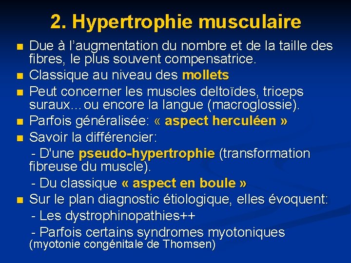 2. Hypertrophie musculaire Due à l’augmentation du nombre et de la taille des fibres,