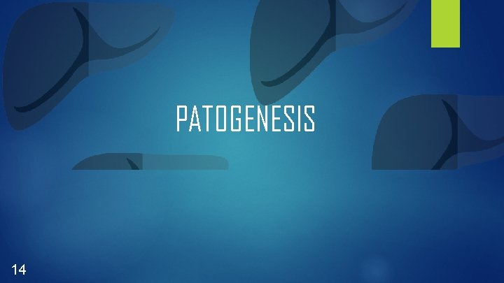 PATOGENESIS 14 