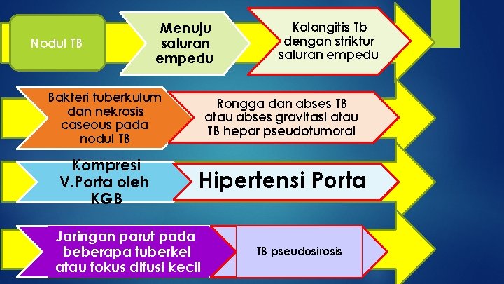 Nodul TB Menuju saluran empedu Kolangitis Tb dengan striktur saluran empedu Bakteri tuberkulum dan