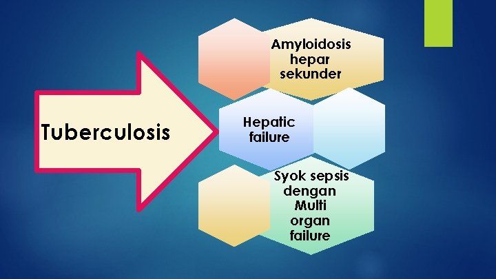Amyloidosis hepar sekunder Tuberculosis Hepatic failure Syok sepsis dengan Multi organ failure 